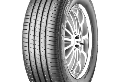 Lassa COMPETUS H/P2 105Y  XL