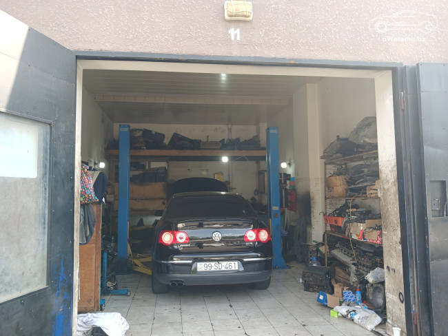 Nicat Qasımov
