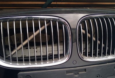 Radiator barmaqlığı F01 Original