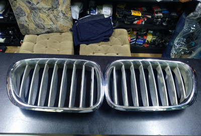 Radiator barmaqlığı X5 E53 ORG