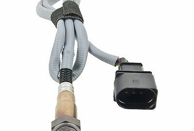 Oksigen sensor-katalizatr datçik