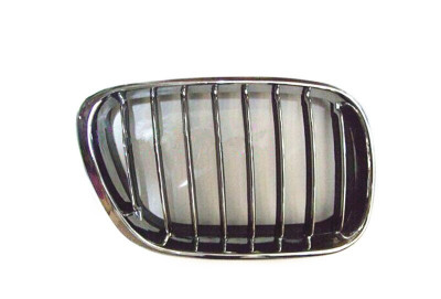 Radiator barmaqlığı-sağ-E53 4.4