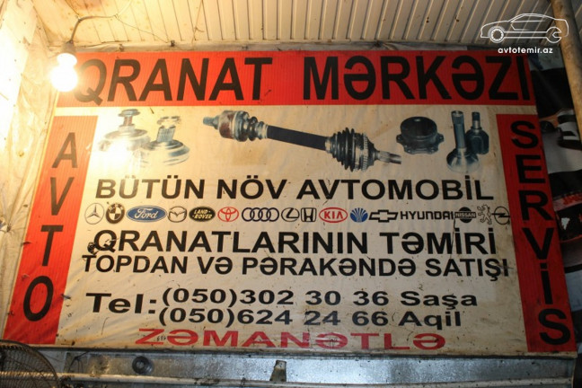 Saşa və Aqil (Badamdar)