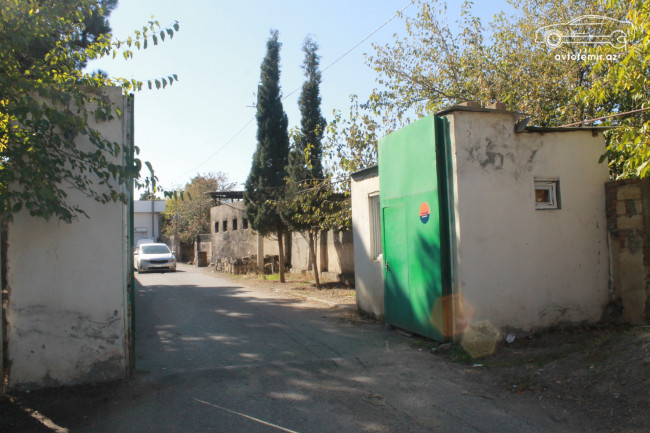 Rasim Məmmədov